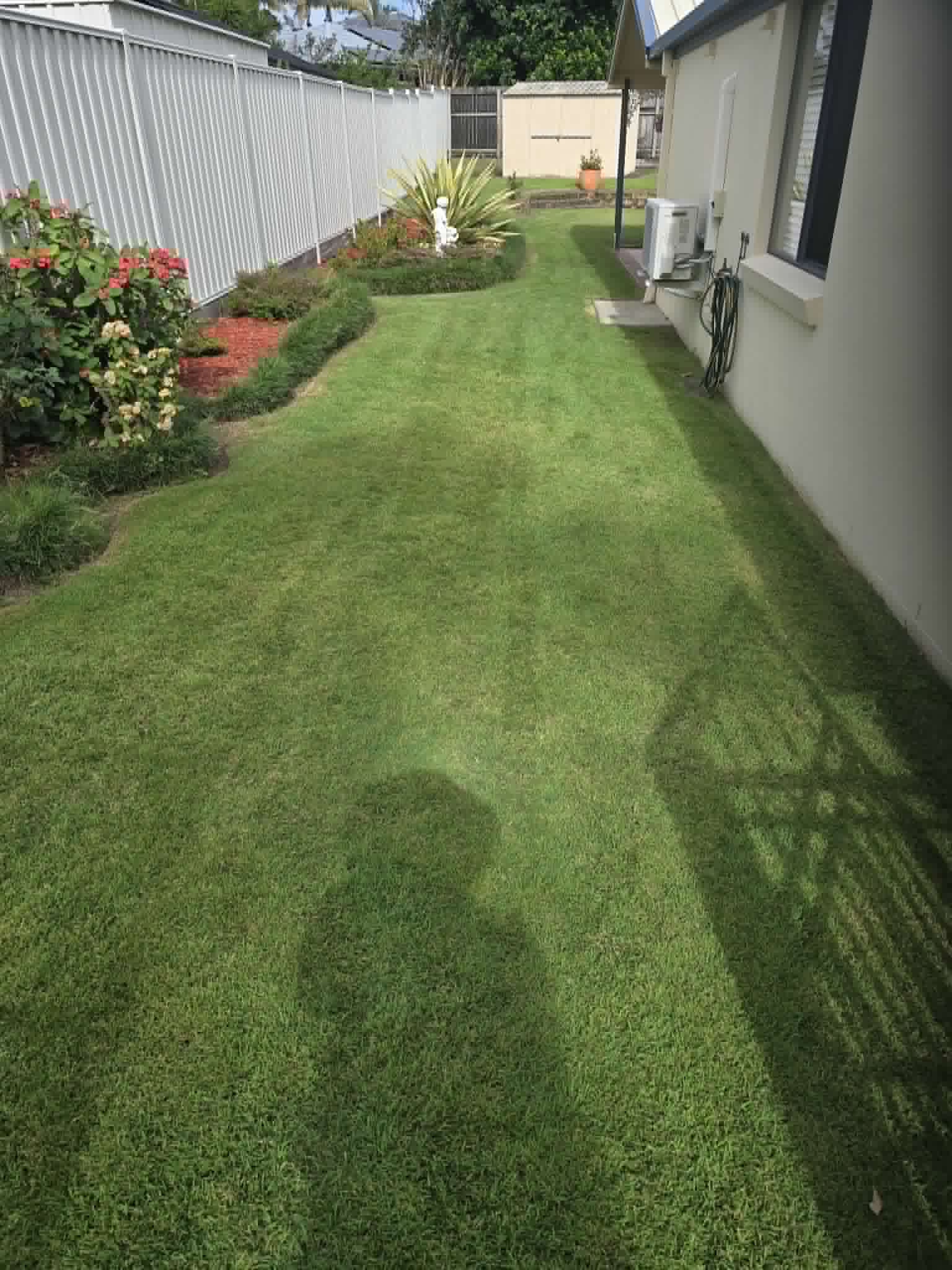 Hedge Trimming
