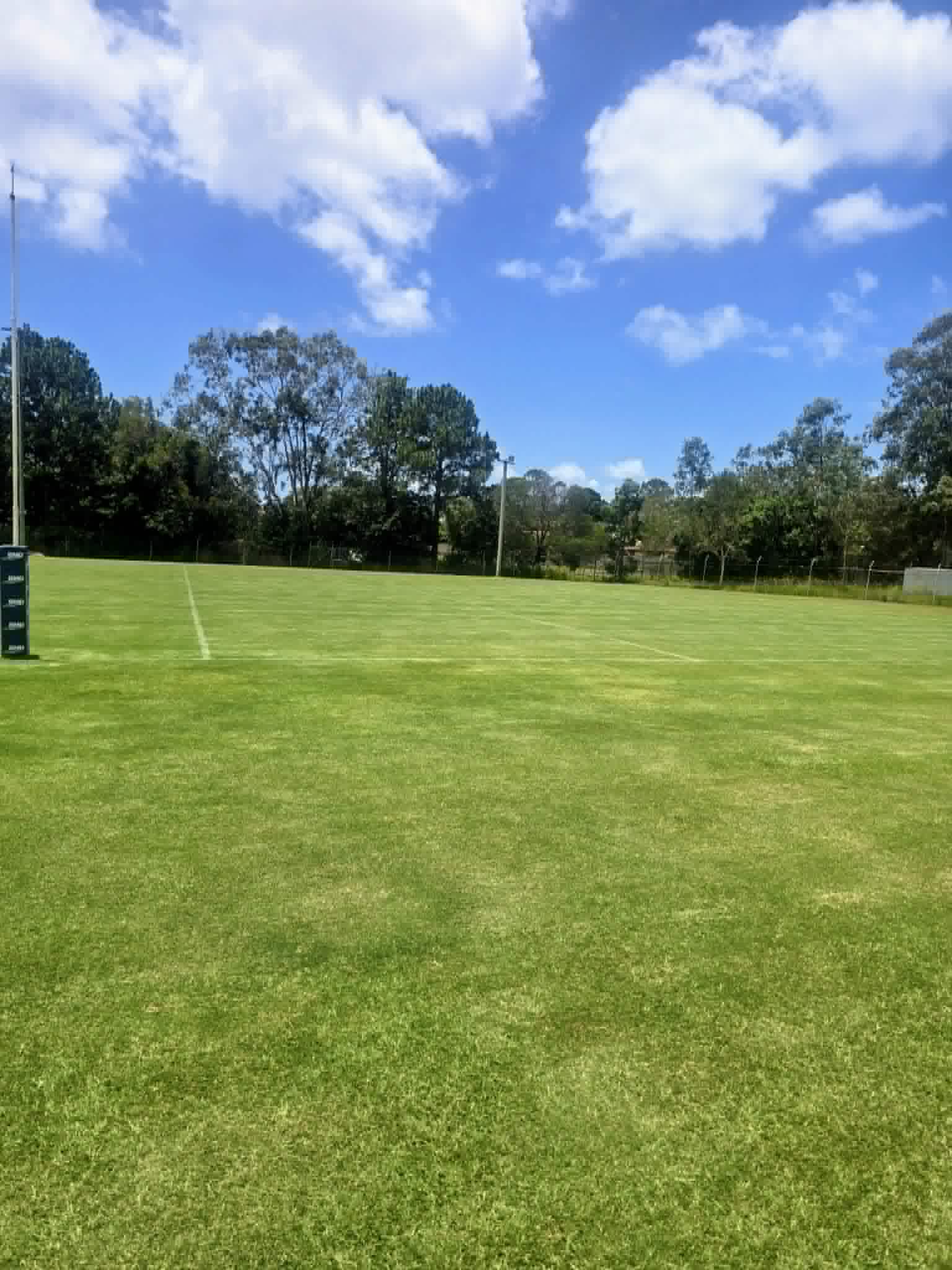 Commercial Mowing
